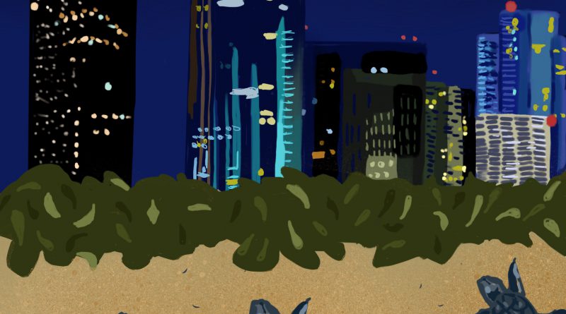 Holiday lighting illustration by Aminah Brown.