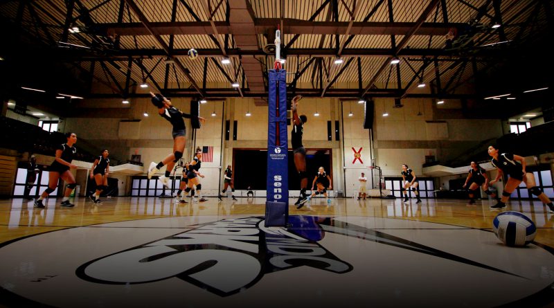 Volleyball team on court.