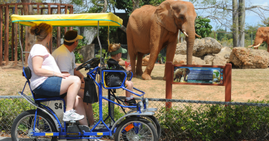 Zoo Miami.